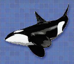 Dibujos para piscinas en gresite - Orca