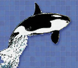 Dibujos para piscinas en gresite - Orca